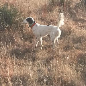 Meet your Posher, Randy